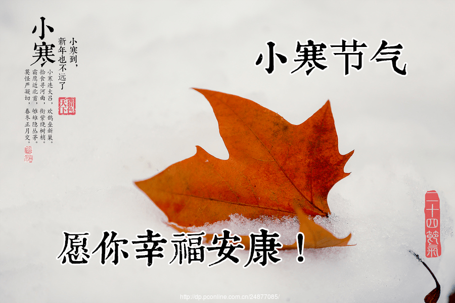 小寒.祝福!