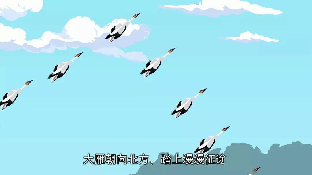 巢鹊什么成语_鹊始巢图片