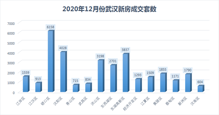 19年东湖高新区gdp(3)