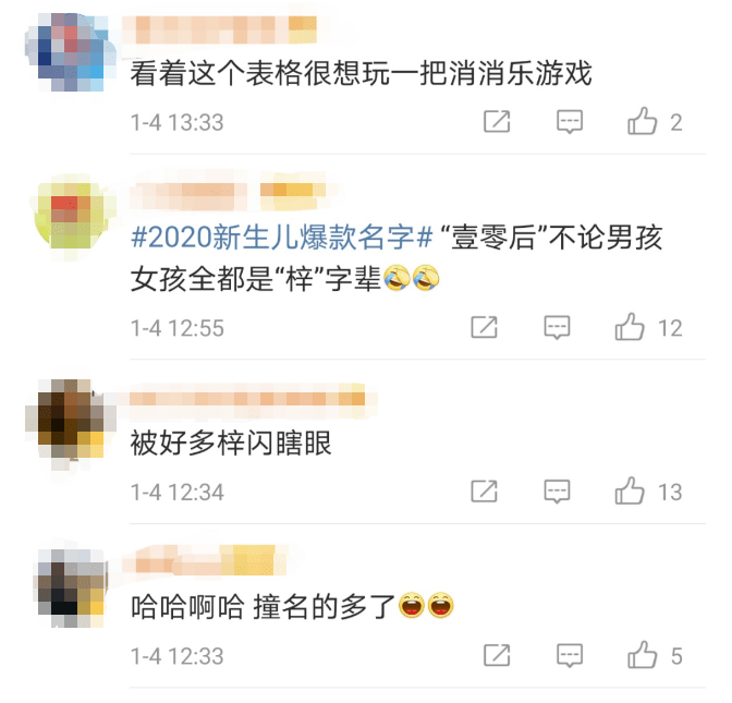 2020年人口最多的姓氏_2021年姓氏微信头像(3)