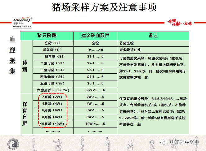 【技术】猪场采样方案及注意事项!