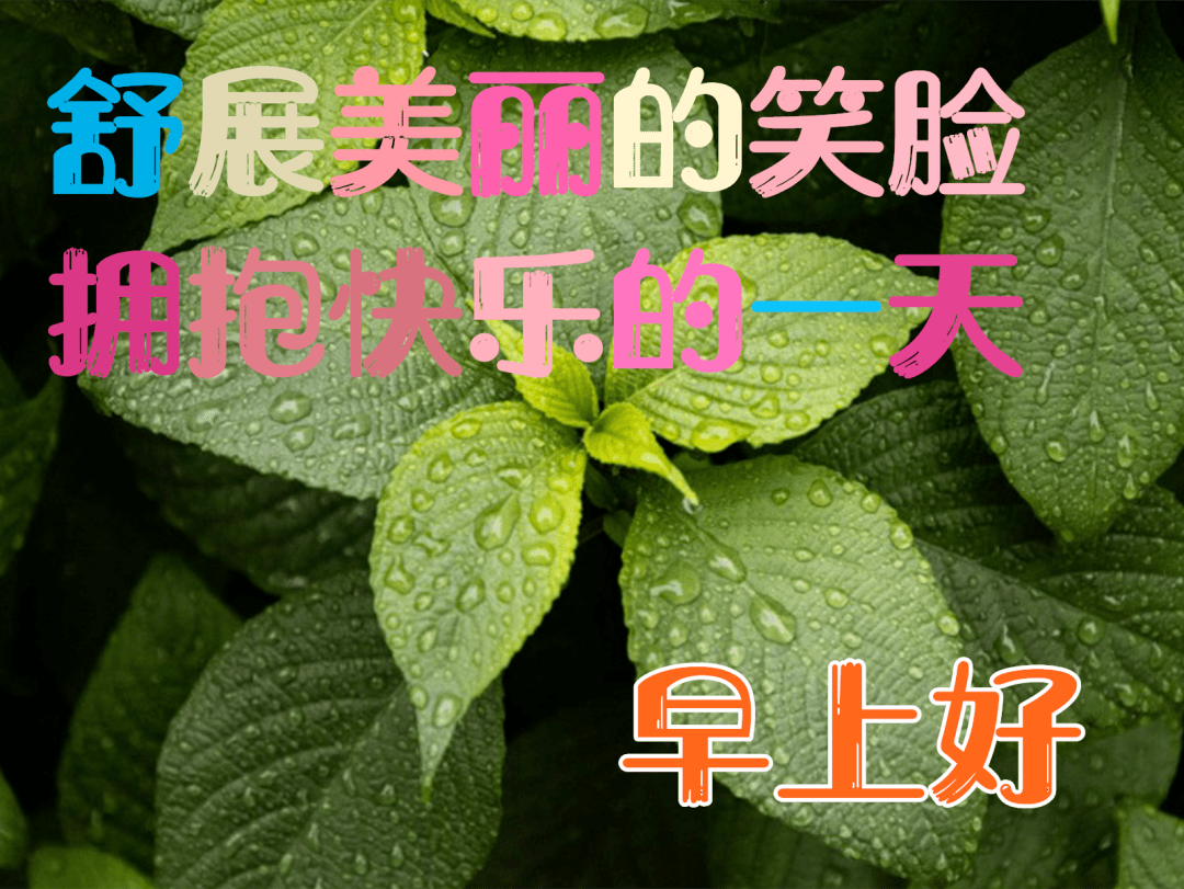 早上好日常祝福语早安问候图片大全,早安漂亮问候图片