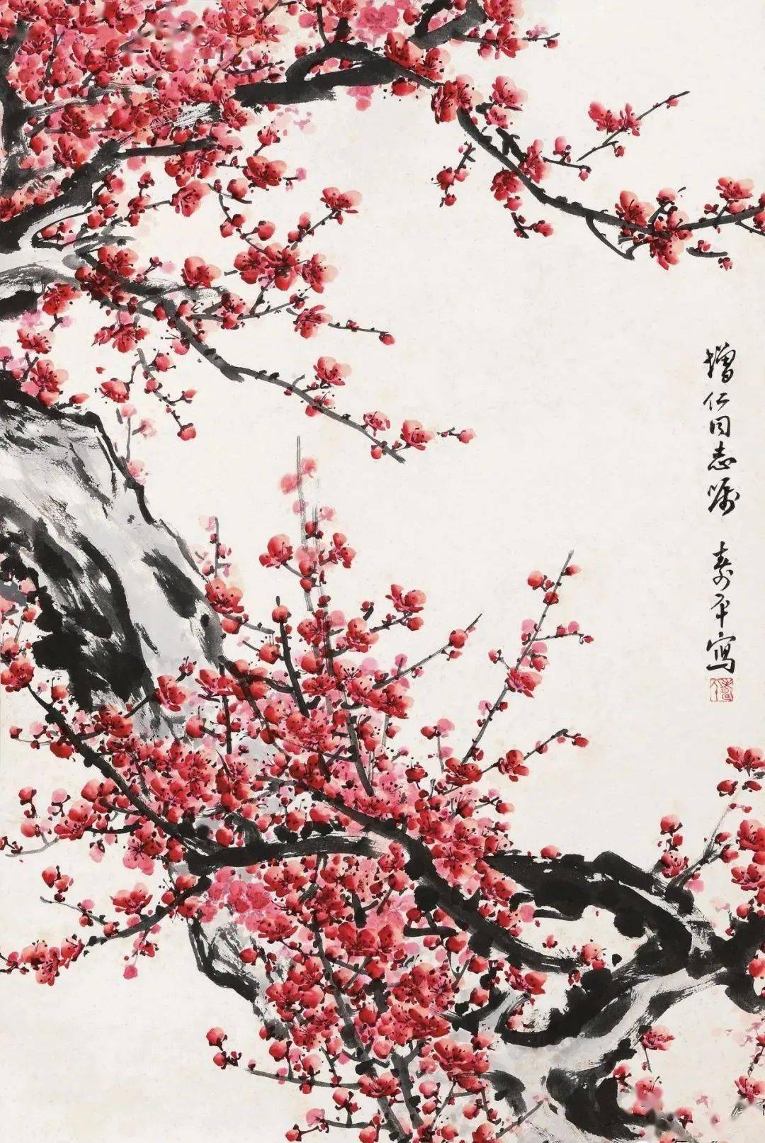 东风第一枝,清极不知寒,清新典雅的梅花_董寿平