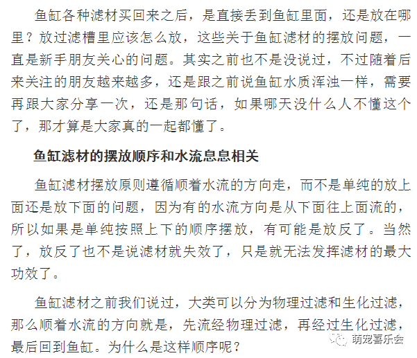 丢下你简谱_我怕被你丢下图片(3)