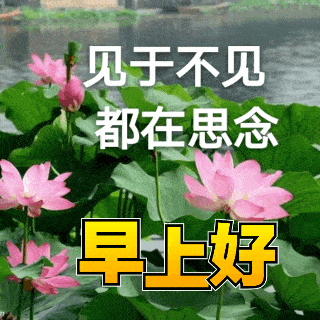 不管阴天雨天有好心情就是晴天;不管忙碌悠闲摆好心态