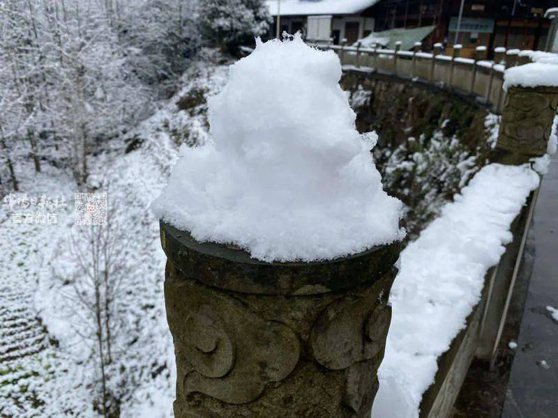 报全绵阳都在下雪哇好大