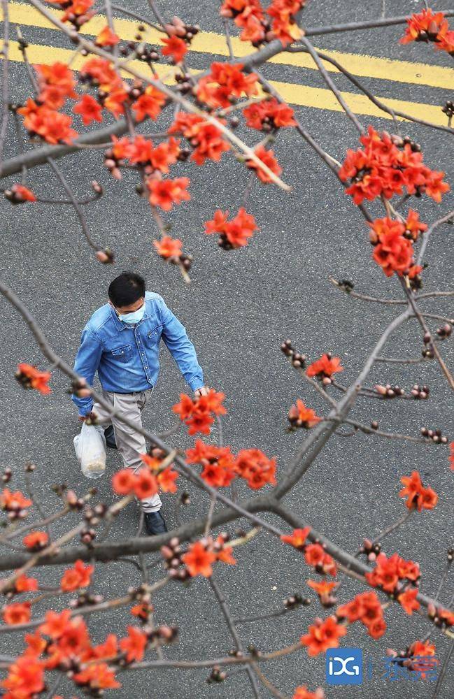 2020年东莞各镇松山_2020年东莞金牌地产品鉴候选特辑之年度最