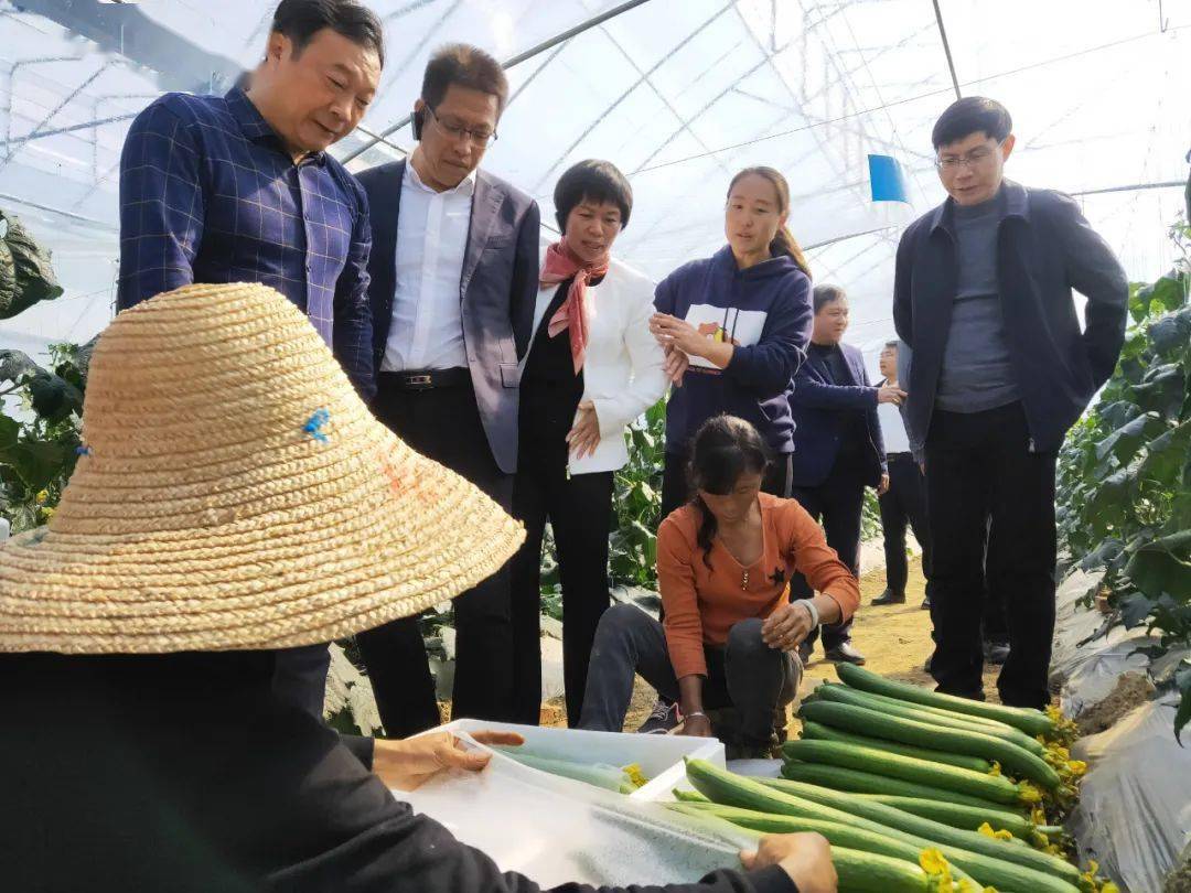 乡村振兴奔小康新田描绘出崭新的富村山居图