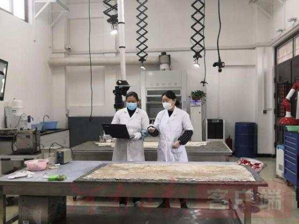 洛阳|国内领先！洛阳建成古代壁画保护研究基地