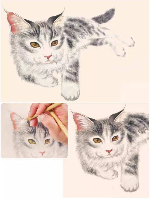 工笔猫咪的画法: ①画猫口诀:画猫先画头,画眼贵在灵,猫眼要传神