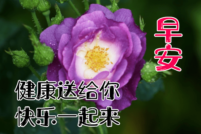 美丽的早晨,早上好!健康送给你,快乐一起来!