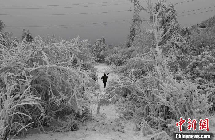 重庆南天湖银装素裹雪景美如画