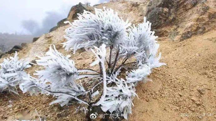 高明区持续寒冷！最低5℃！接下来的周末天气是…