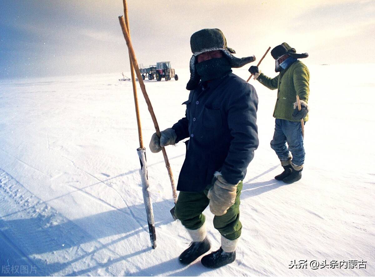 达里湖冬捕一条会飞的鱼