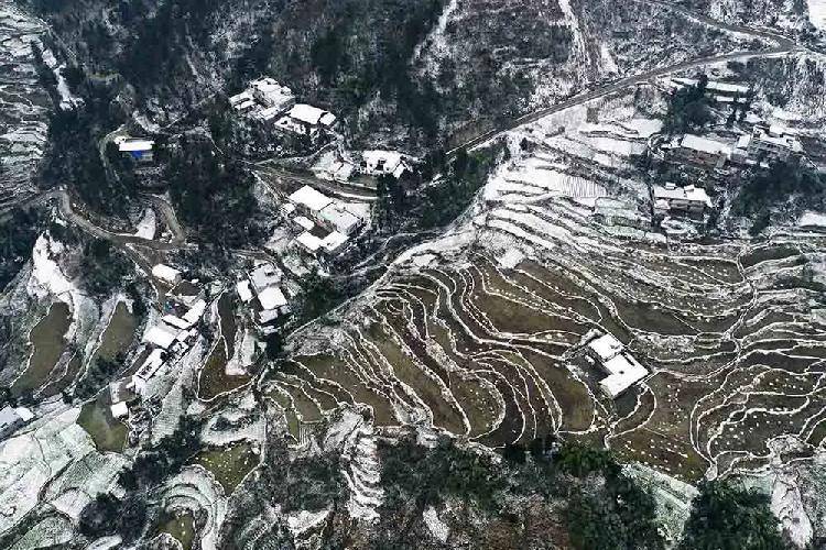 该区黑溪镇光明村的梯田农家被白雪覆盖,错落有致的梯田雪线与民居