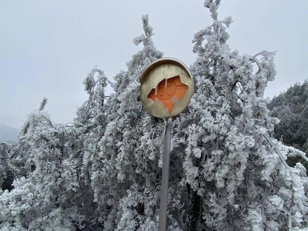 寿宁下雪啦刷爆了寿宁人的微信圈