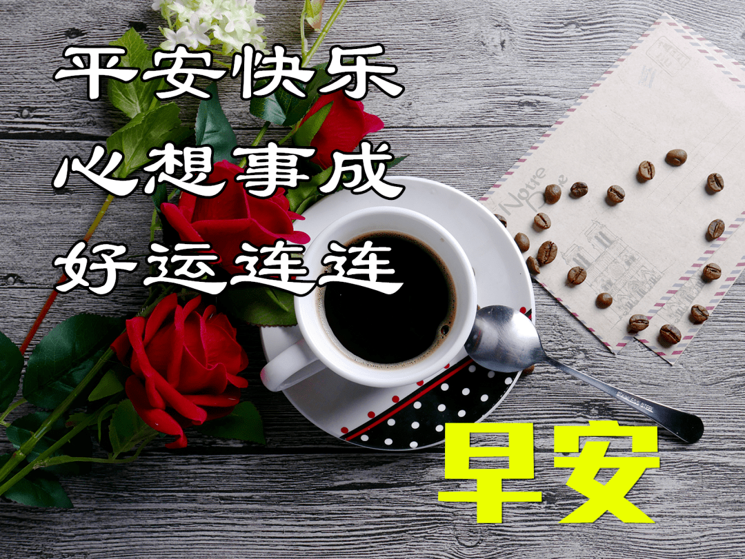 清晨问候大家早上好的漂亮鲜花图片,早上好温馨祝福语录图片