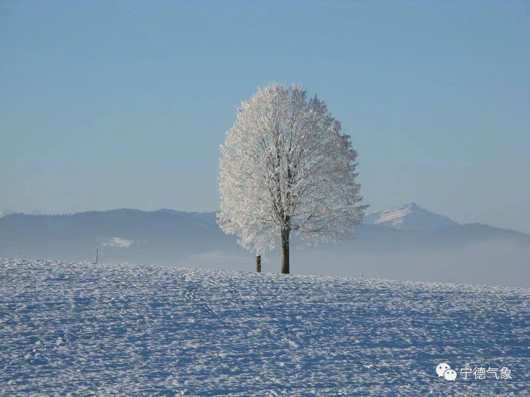 2021年的第一场雪,快喊小伙伴来看雪啦!