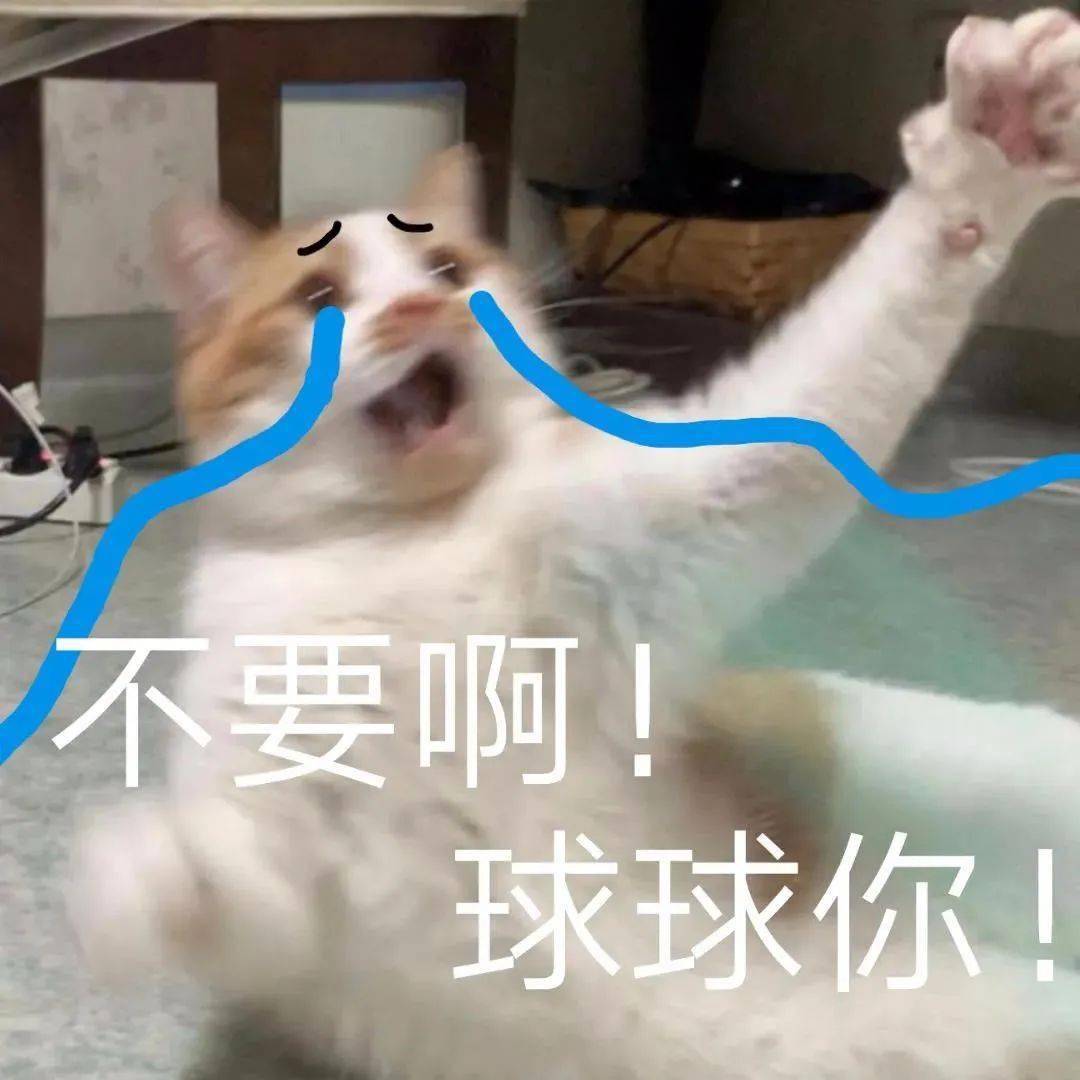 沙雕表情包沙雕猫猫表情包