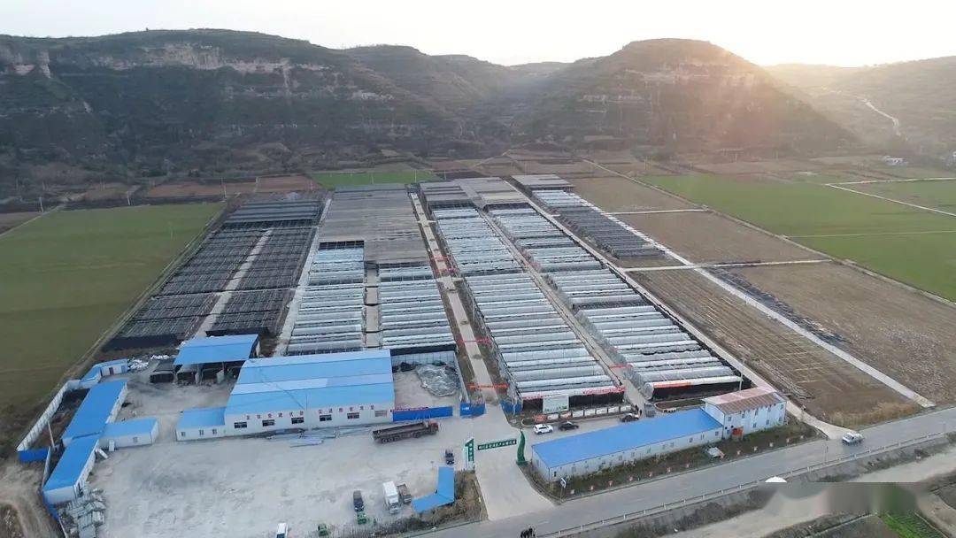 淅川县人口移民到哪_淅川县移民王海丽