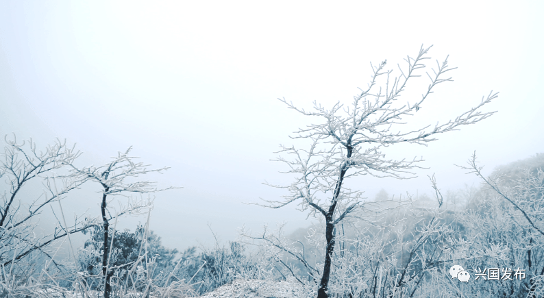 兴国雪景!看完图二,彻底沦陷了._大乌山