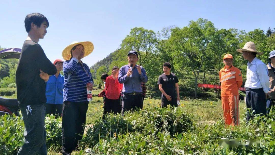 【纪实】张德顺 | 休宁流口驻村扶贫干部的故事