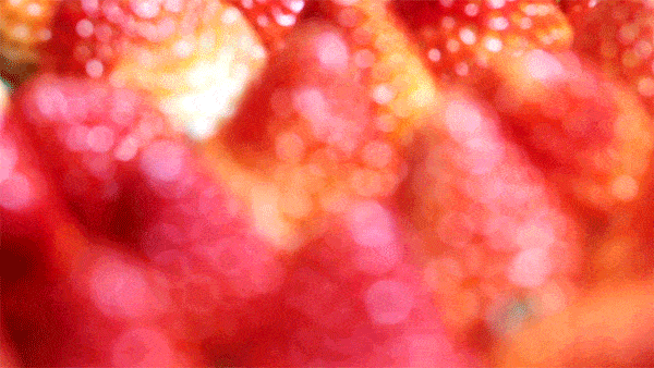 魏城镇除了青云村,在  关帝村也有草莓哦~  strawberry 新 桥 