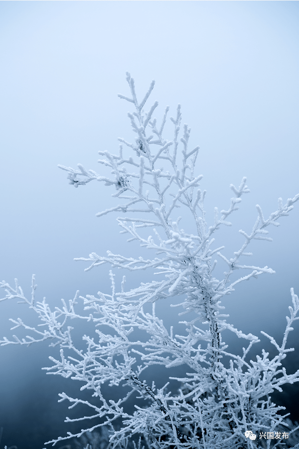 兴国雪景!看完图二,彻底沦陷了._大乌山