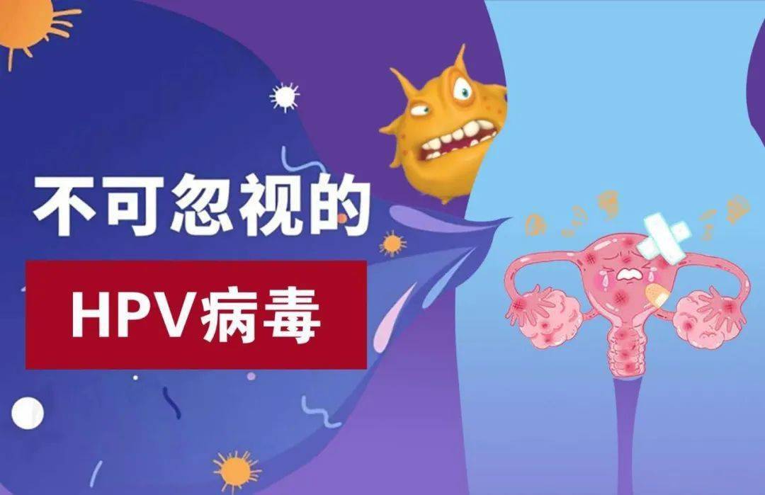 hpv小科普什么人容易被hpv盯上呢备孕发现感染hpv怎么办