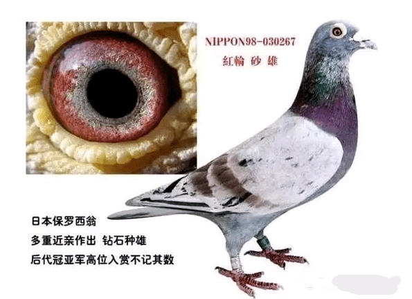 fb38ae2753da4214aa44a430846f954b.png