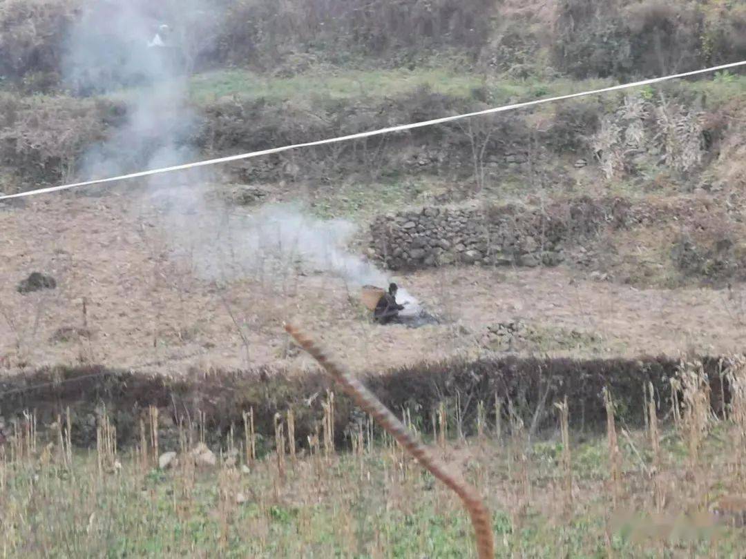 违规野外用火,凉山7人被拘留!