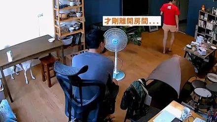 女子養了這只狗，每天都感覺怪怪的，直到看見監控後：被綠得好慘！ 萌趣萌寵 第2张