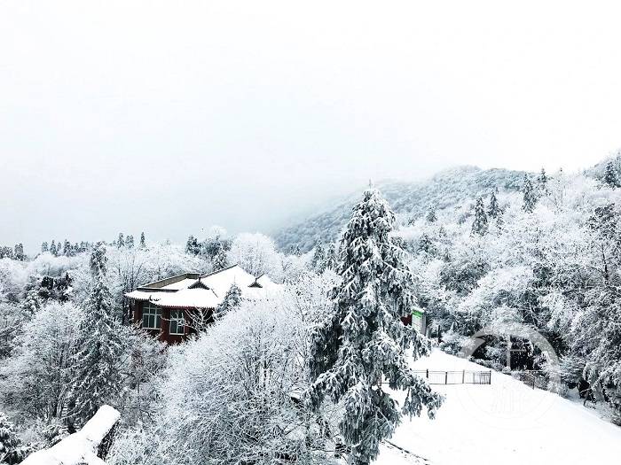 华蓥山五华山铜锣山迎今年首场大雪广安市提醒游客戴口罩出示健康码再