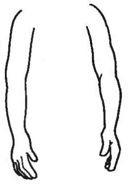 729da52ef148480d9919cd7c7b50df11.png