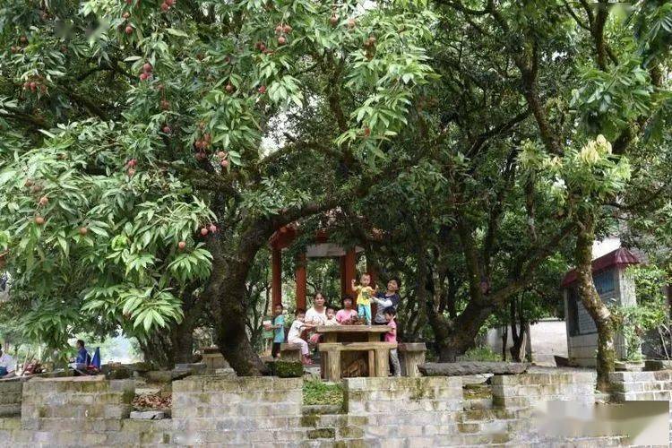 郁南县有多少人口_郁南县地图全图