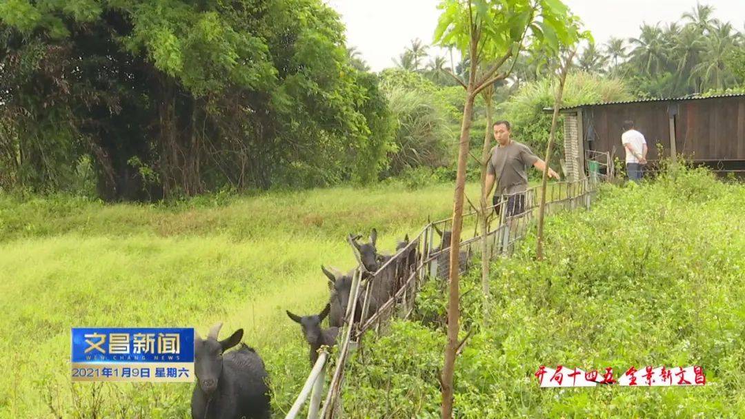 文昌文城镇经济总量_海南文昌文城镇地图