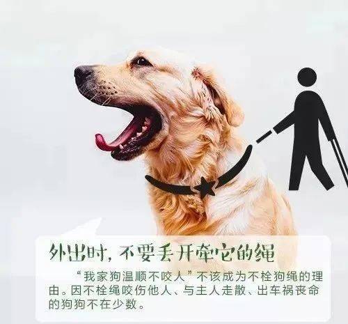 d1266e5430f943ef910c4ea5a9d4f819.jpeg