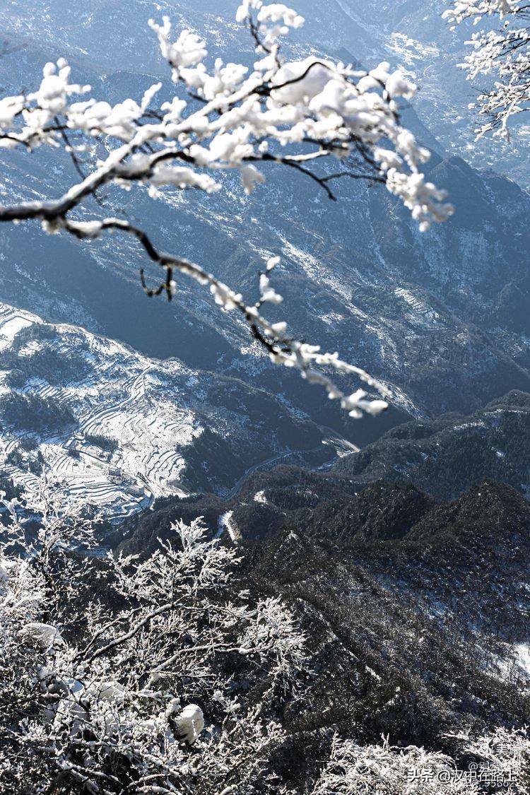 汉中云端上的赏雪盛景这个冬天绝对不能错过