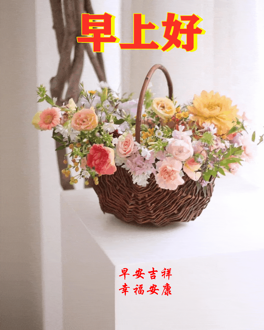 2021110周日愉快《早安心语》∮
