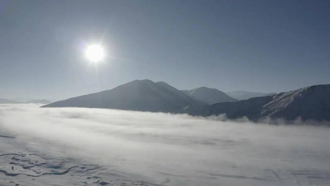 茫茫雪野