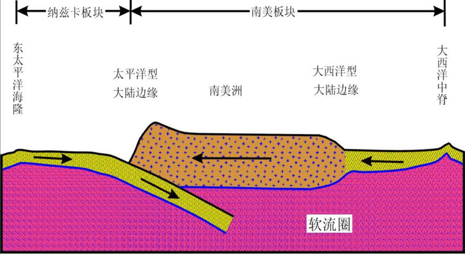 近现代大地构造发展概况_大陆