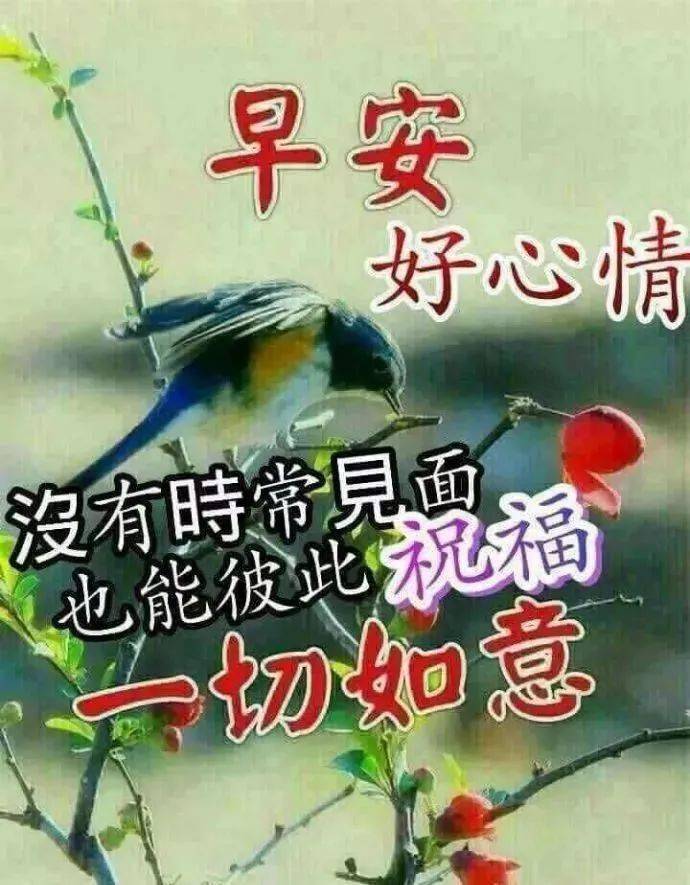 中老年人表情包:人生的成长,在于学习,也在于经历.