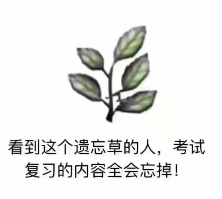 是呢" "我这次必挂" …… 遗忘草 考试周不会消失 就像遗忘草永远活在