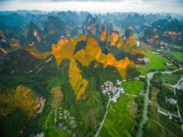 广西中国茶叶版图上默默无名的地方生产了全国70的花茶