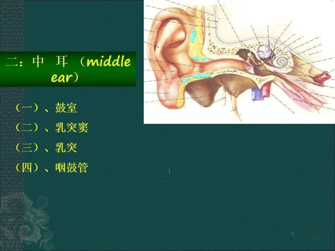 耳解剖及常见疾病影像表现