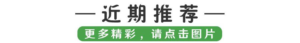 海南惊现0.6°C低温! 海口启动寒冷灾害预警响应!