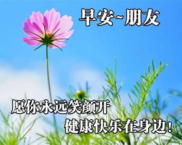 有健康而快乐,祝你应有尽有,幸福每天,祝你开心,早安