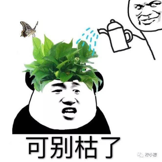 8b8d177ef7b643a0a959bcf6b2d0712b.jpeg