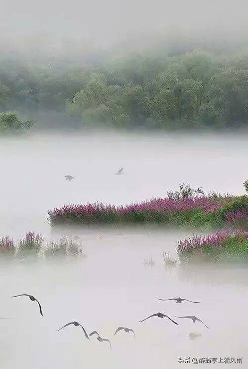 af3b9a9ba13143d3b880113927cb35e0.jpeg