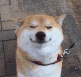 知道么,你的微信头像已经暴露了你的性格,原来自己是这种人?